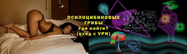 ГАЛЛЮЦИНОГЕННЫЕ ГРИБЫ Фурманов