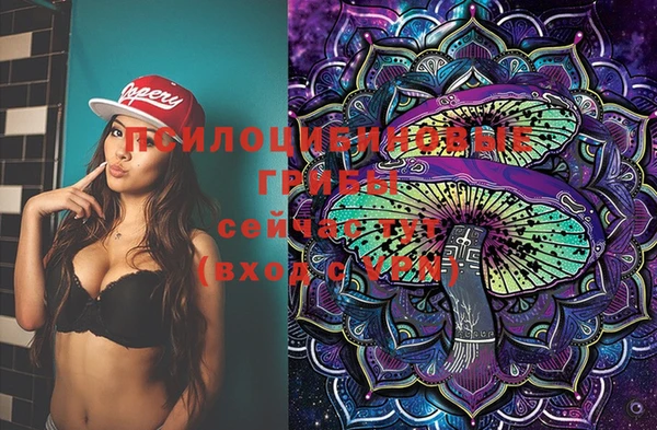 спиды Кедровый