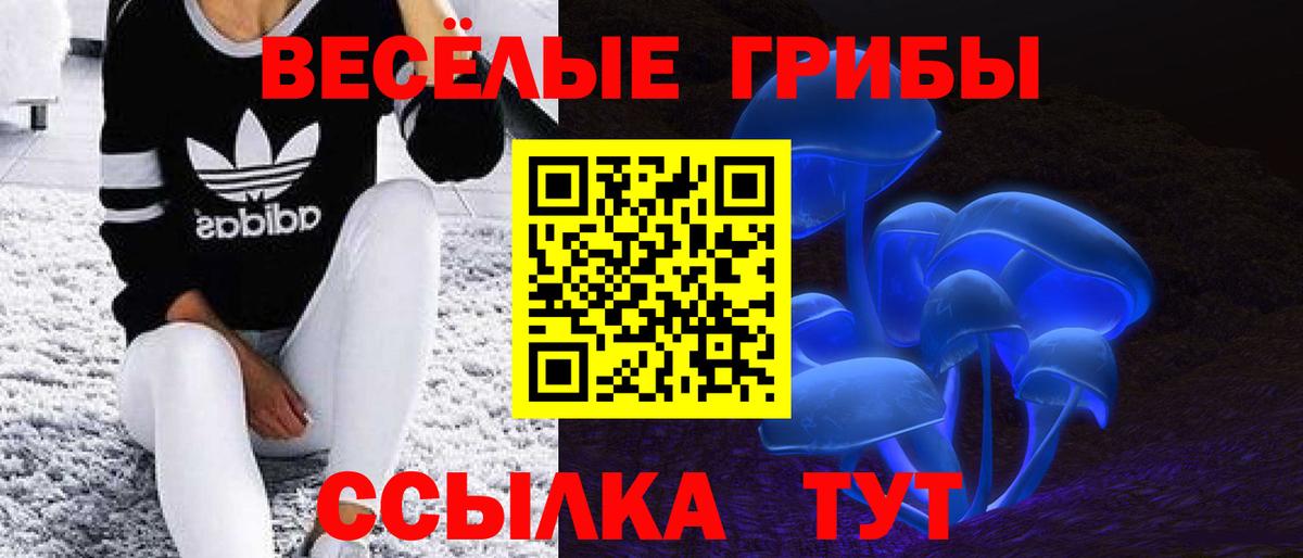 Псилоцибиновые грибы Cubensis  Галлюциногенные грибы Psilocybine cubensis  Буйнакск  цена   Вход с VPN 