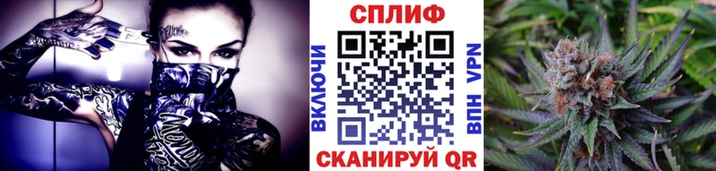 МАРИХУАНА сатива  Буйнакск 